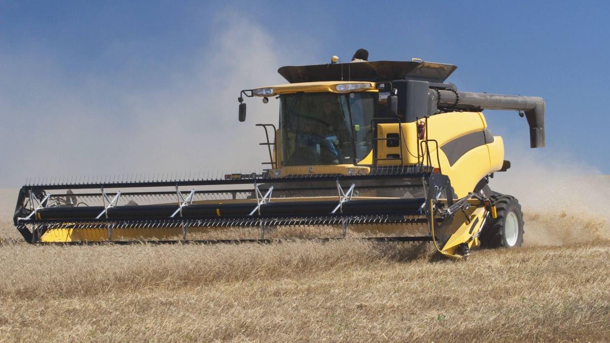 productia grau injumatatita seceta vanzare preturi scazute