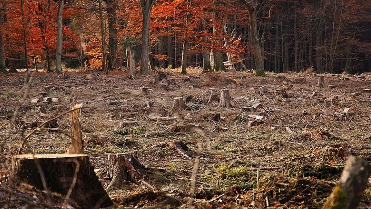 defrisari romania comisar uniunea europeana