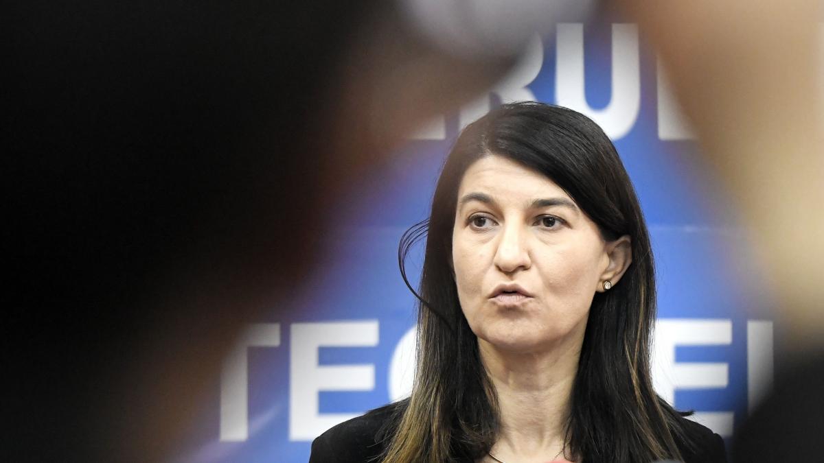 violeta alexandru suspendarea contractelor angajatii raman la domiciliu