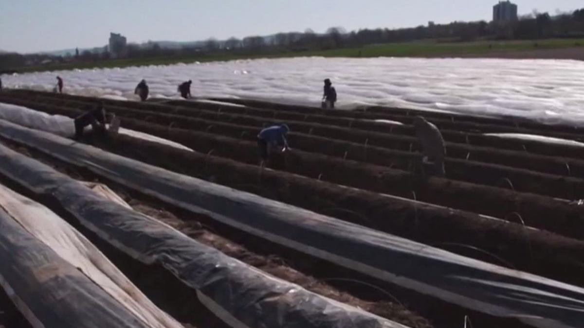 romani locuri de munca germania