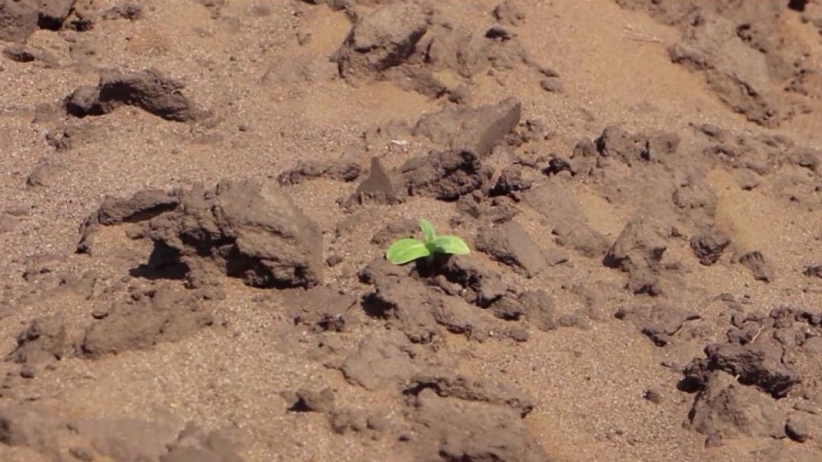 aprilie cea mai secetoasa luna din ultimii 60 de ani