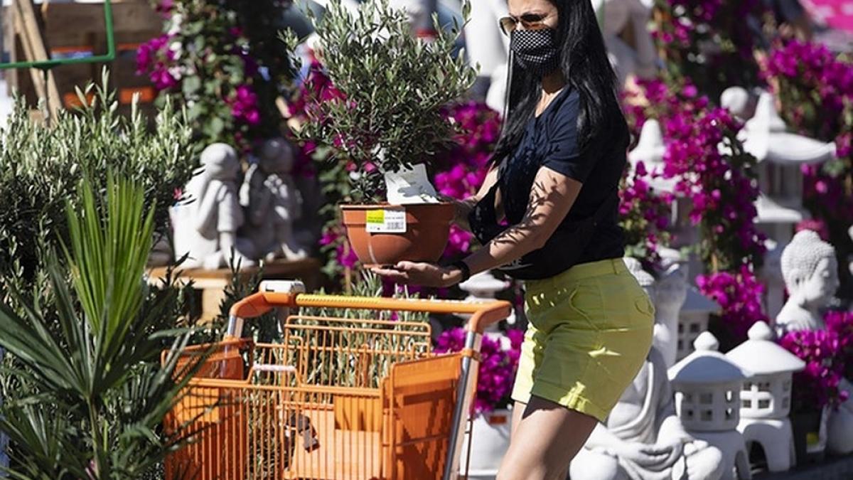 elvetienii au mers la dentist frizerii prima zi relaxare masuri