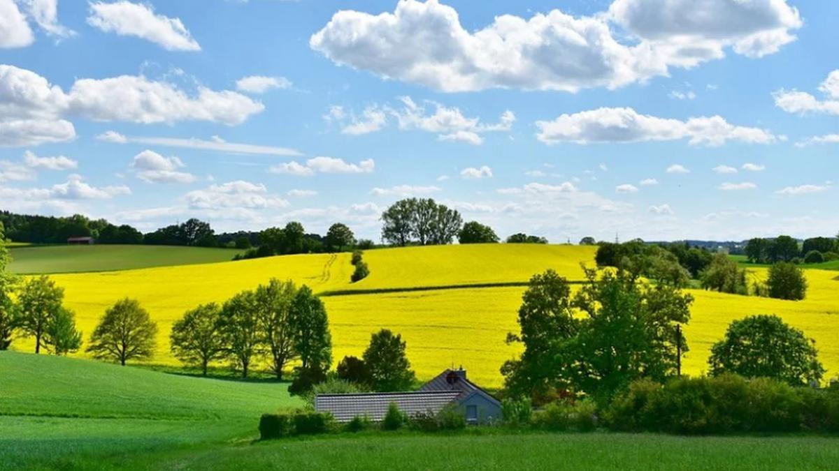 vremea prognoza meteo temperaturi