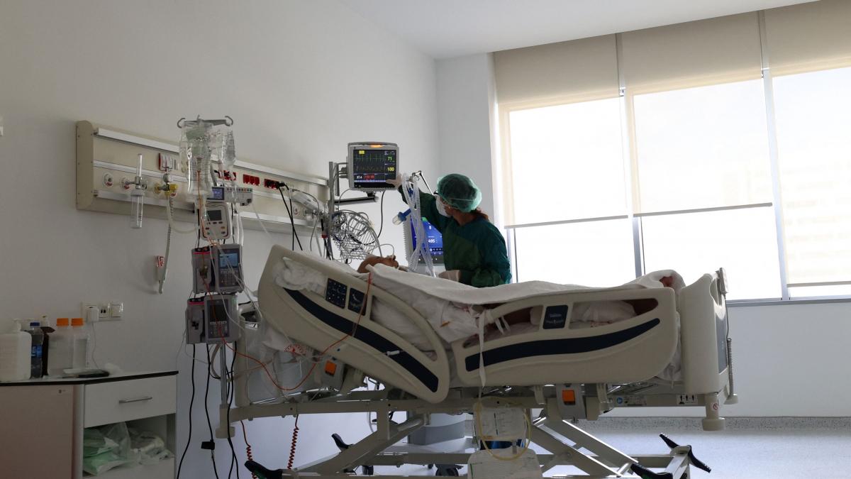 povestea doctoritei din brad hunedoara murit coronavirus