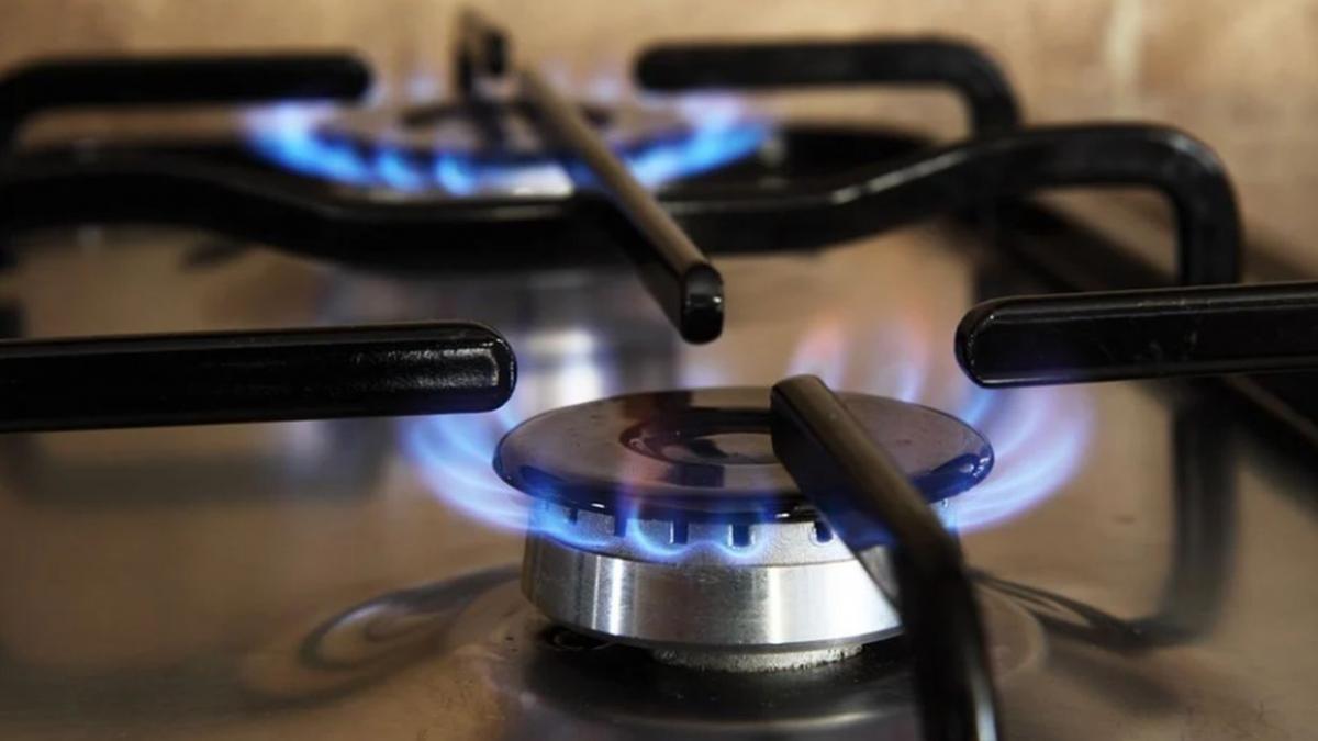 preturi gaze naturale energie electrica