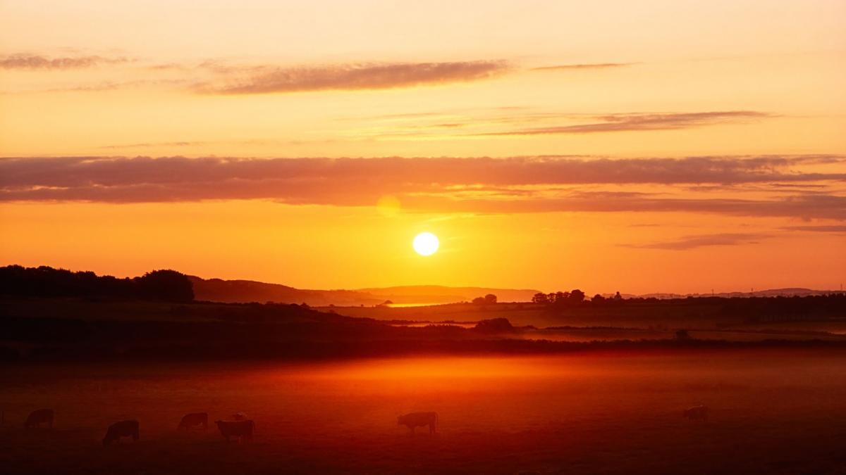 vreme 1 mai temperaturi prognoza meteo