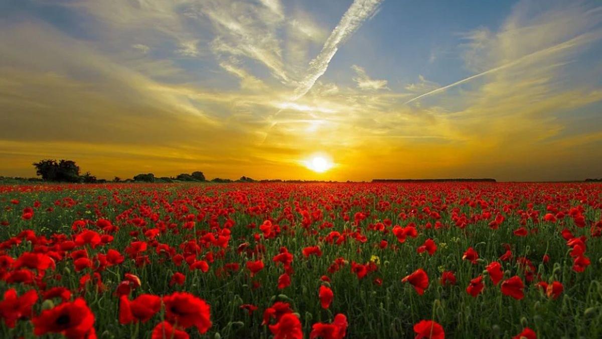 vremea 28 aprilie 2020 prognoza meteo