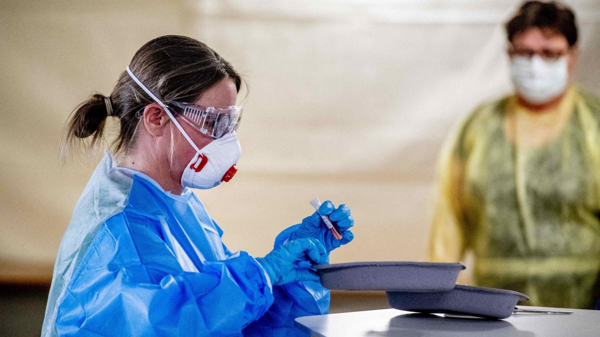 romani coronavirus abator germania