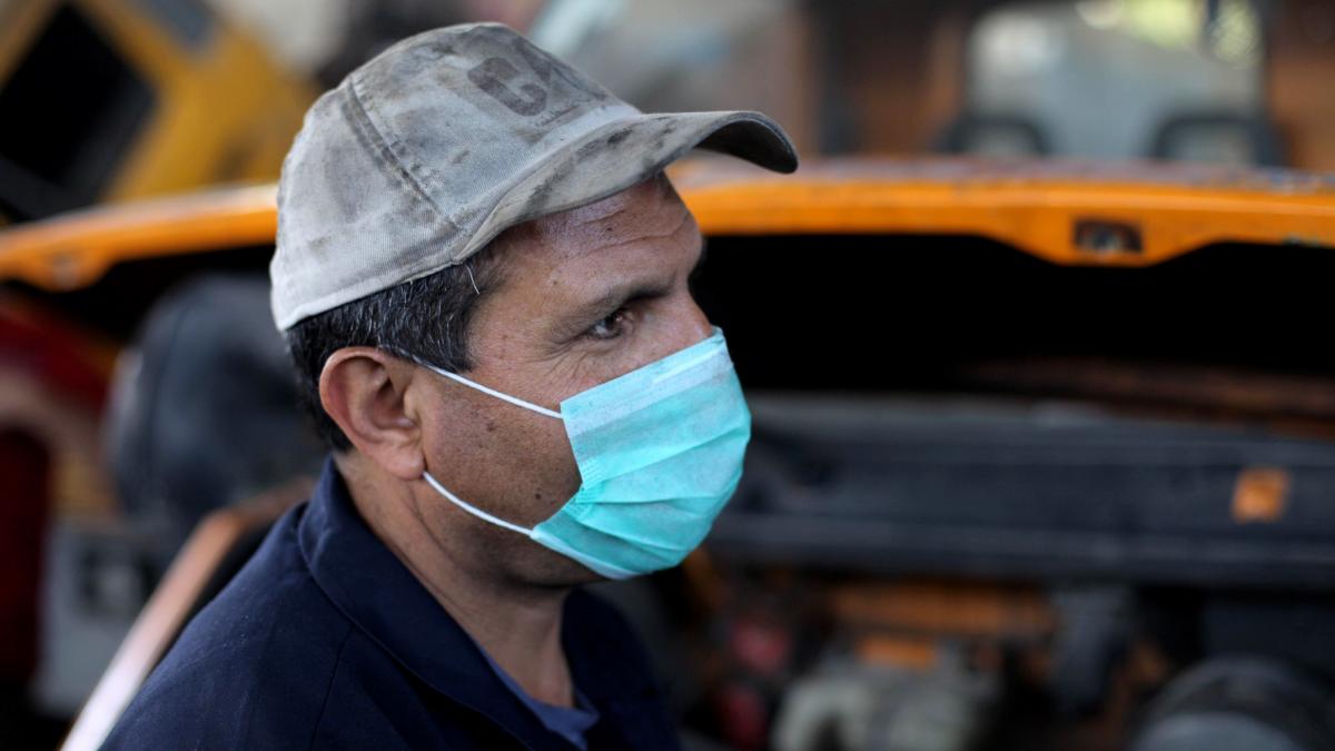 testare alba coronavirus diagnostic