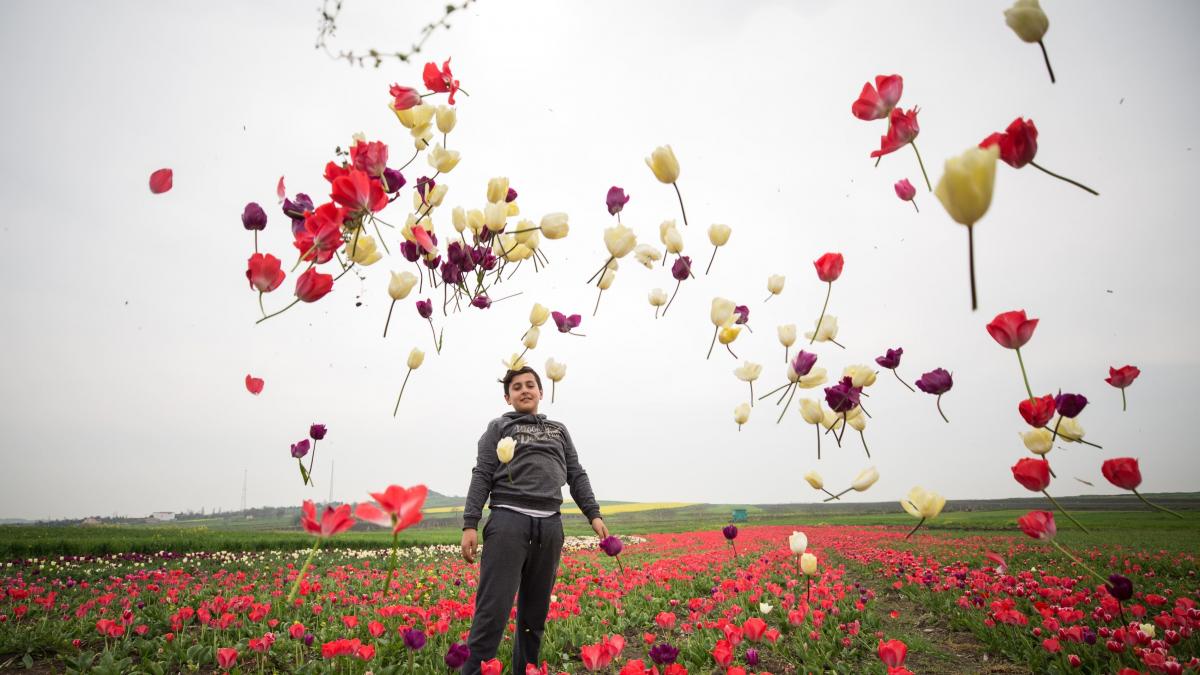 vremea luna mai prognoza meteo weekend