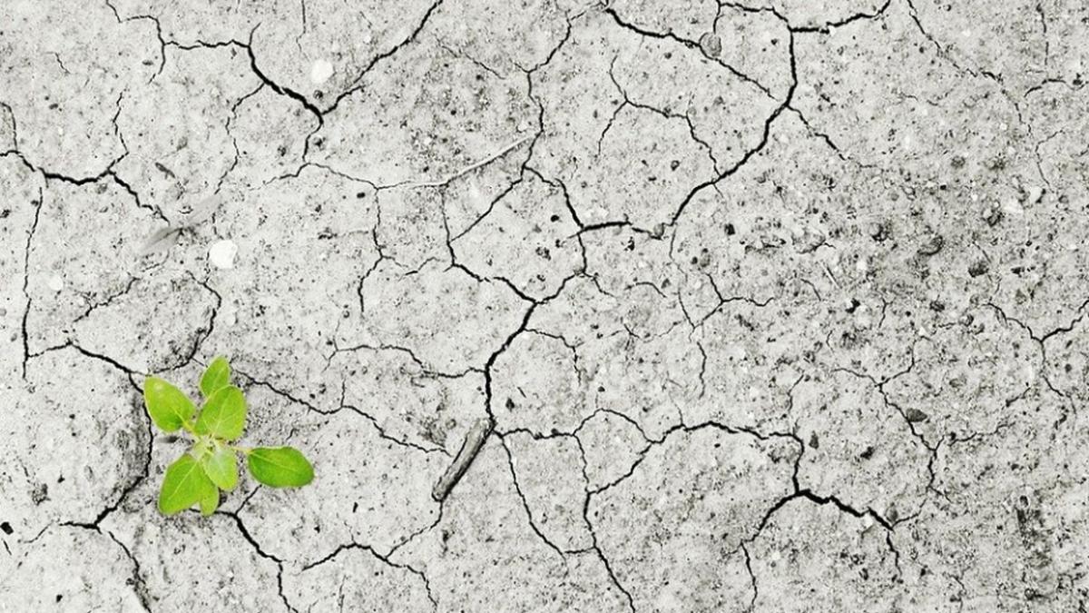 agricultura seceta romania masuri guvern