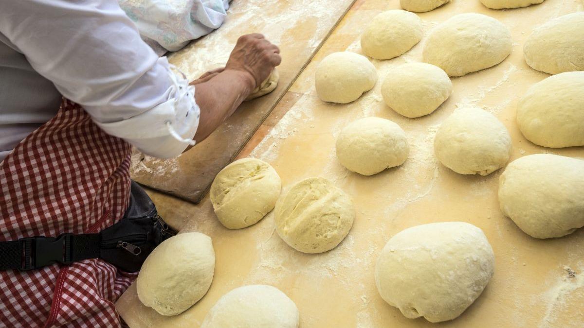 focar coronavirus brutarie alba