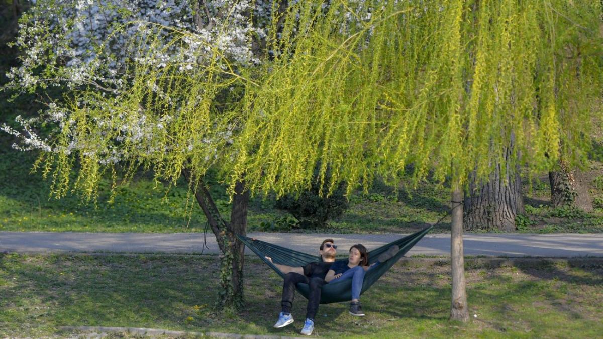 petrecerile de 1 mai complet interzise padurile vor fi supravegheate cu drone si elicoptere