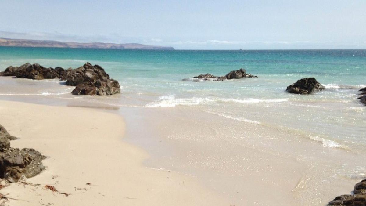 carantina costa rica cornel tabacaru