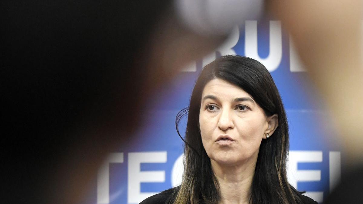 violeta alexandru decizii noi sase luni mandat