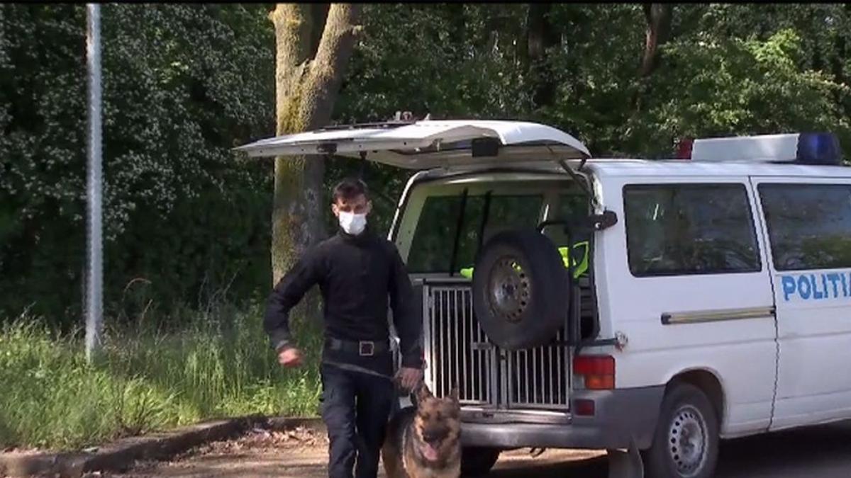 Alertă în Sibiu. Două cadavre ale unor bărbați, găsite la doar 1 kilometru unul de celălalt