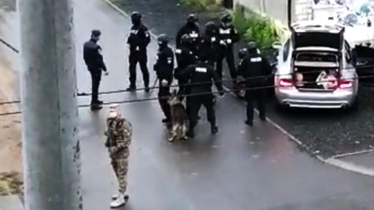 tudor matei deputat psd