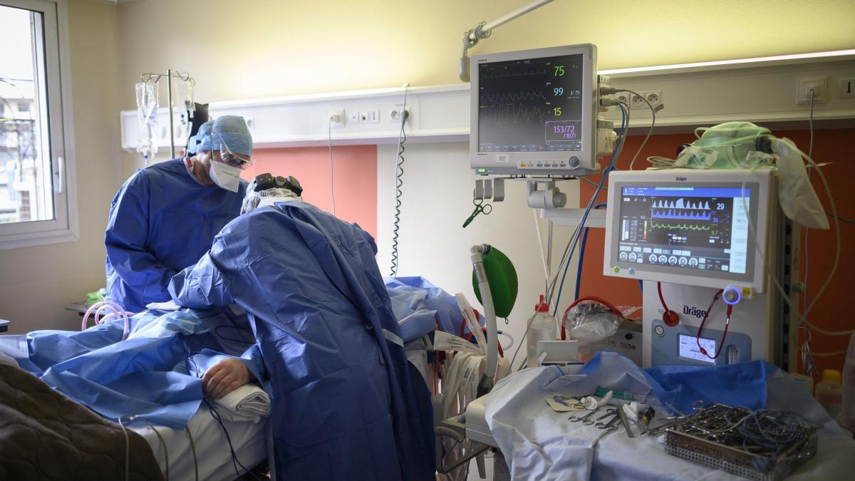 medicul renica diaconescu numarul accidentelor vasculare si al deceselor a crescut semnificativ