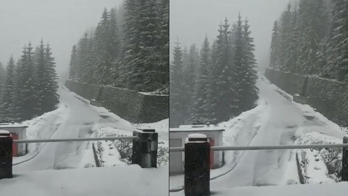 zapada munte viscol ninsoare