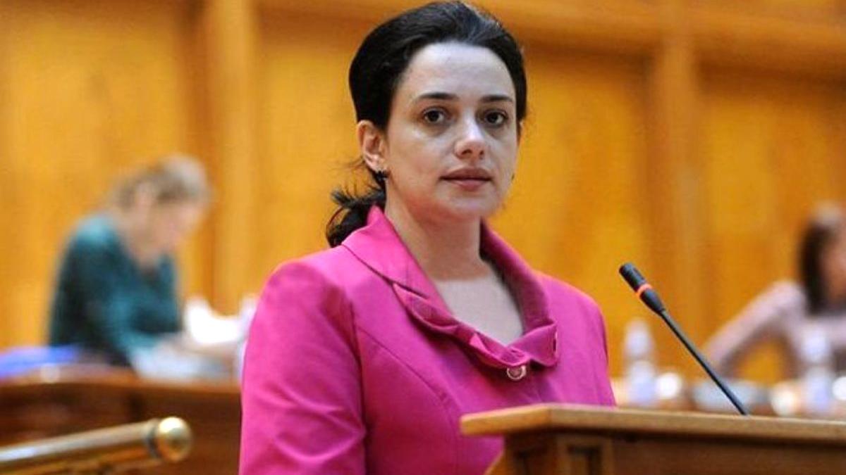 angelica fador pnl guvernul va sprijini financiar industria horeca