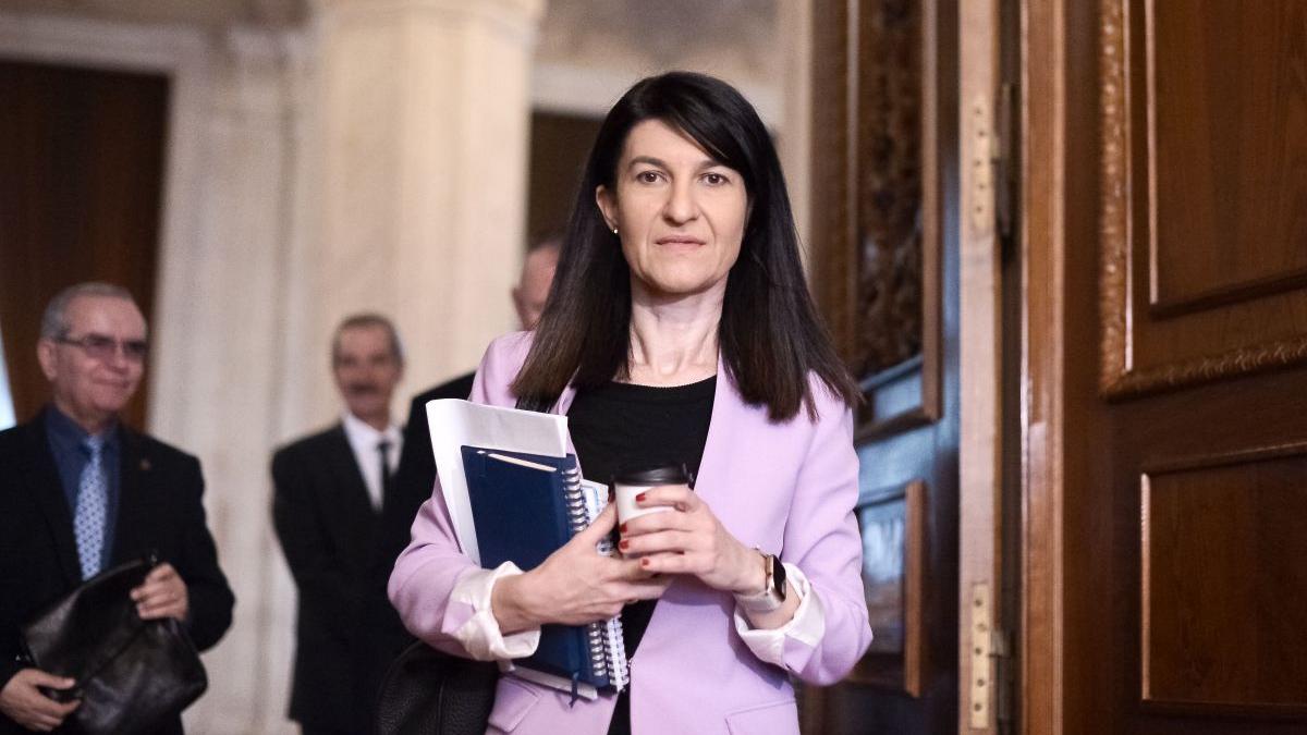 violeta alexandru pensii timp acordare