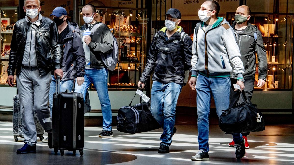 barbati enzime infectare covid