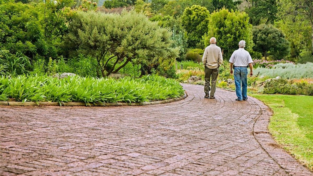 numai de bine exercitii de acasa pentru pacientii care sufera de artroza