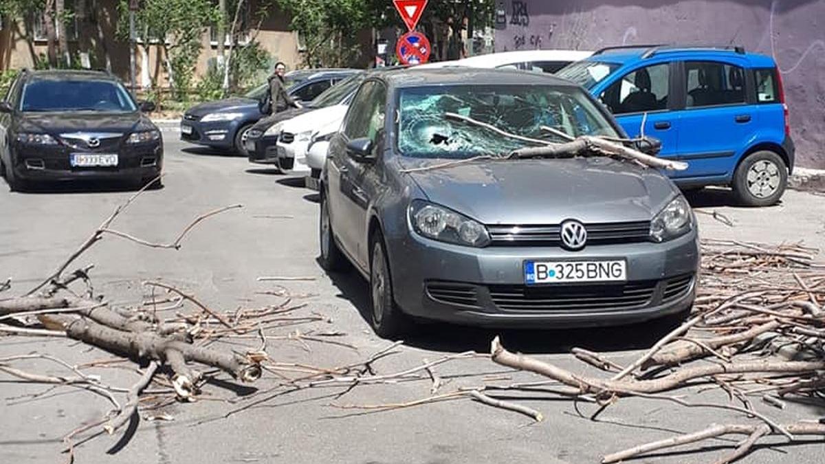 masina bucuresti distrusa copac vant