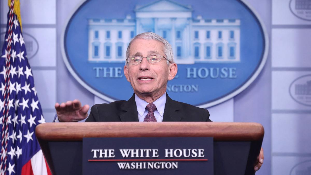 anthony fauci coronavirus america