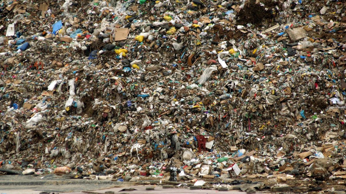 imagini de la descinderile din sintesti