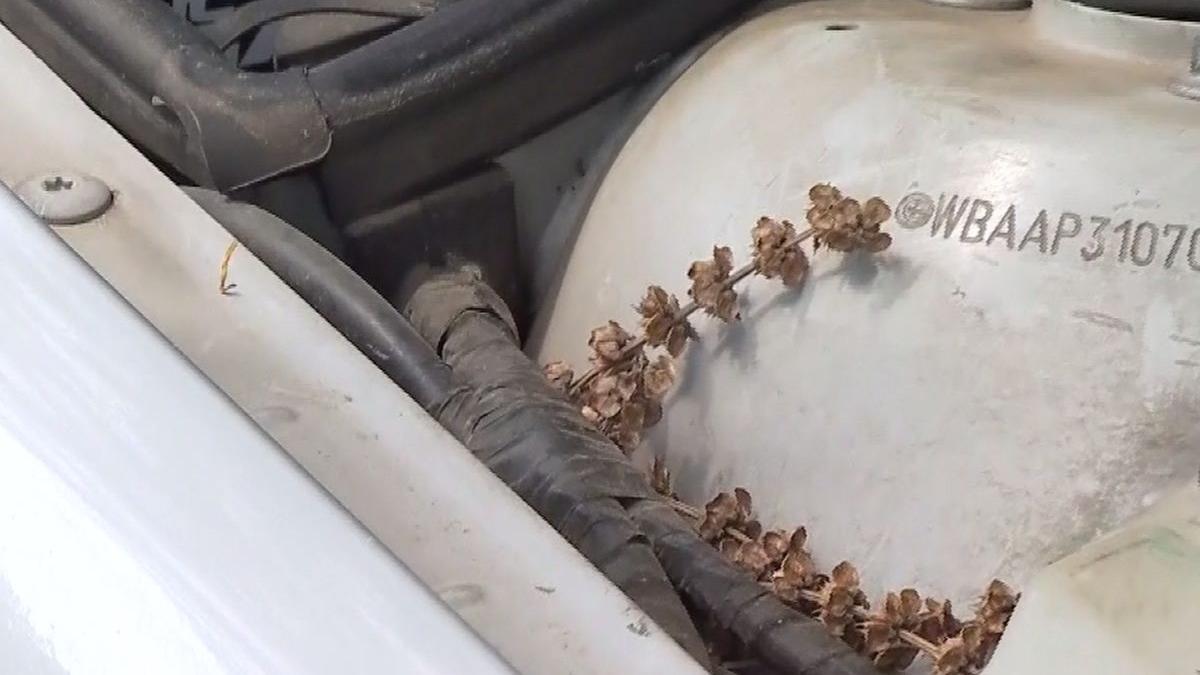 busuioc masina motor sobolani