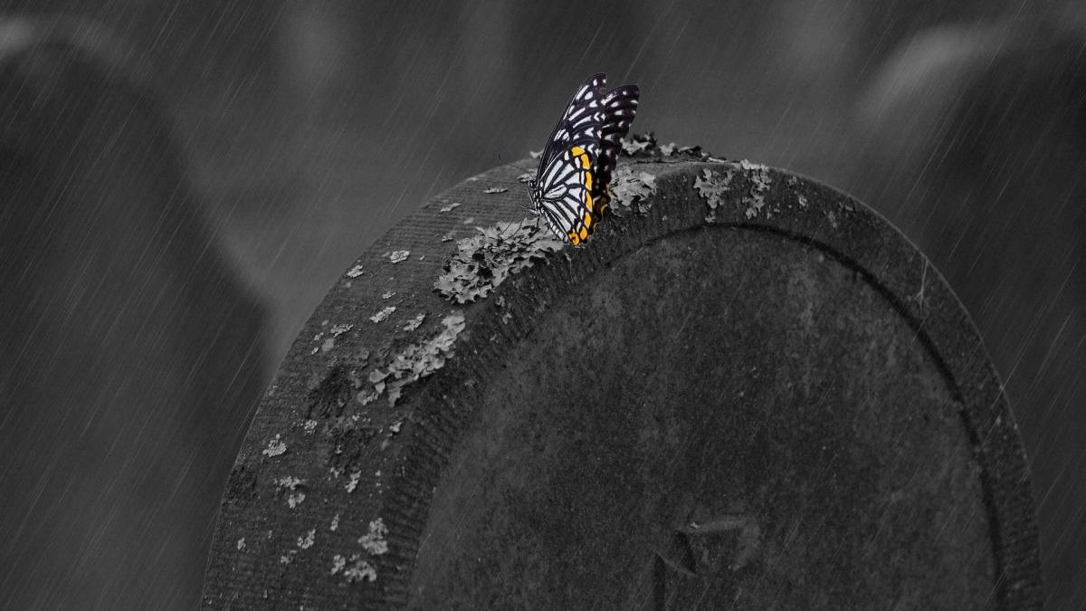 morminte profanate branesti cosciuge distruse