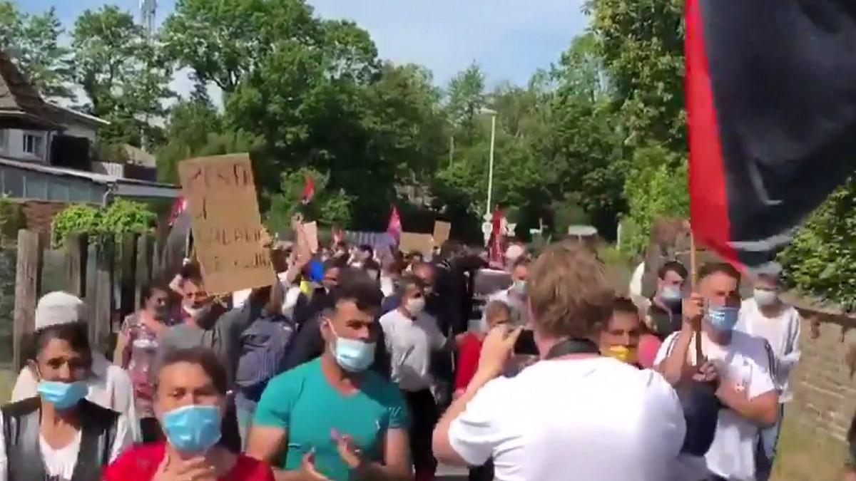 romani umiliti pe plantatiie din germania nu ne au dat nici de mancare