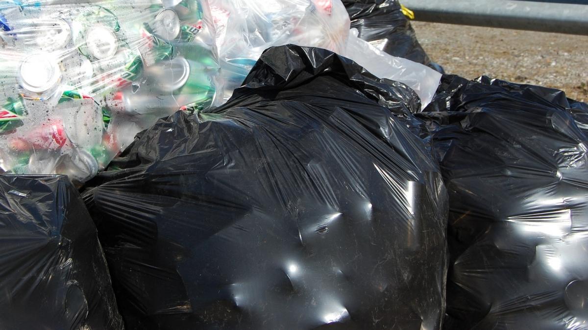 au gasit doi saci de gunoi in mijlocul drumului si au decis sa ii ia in masina cand s au uitat in