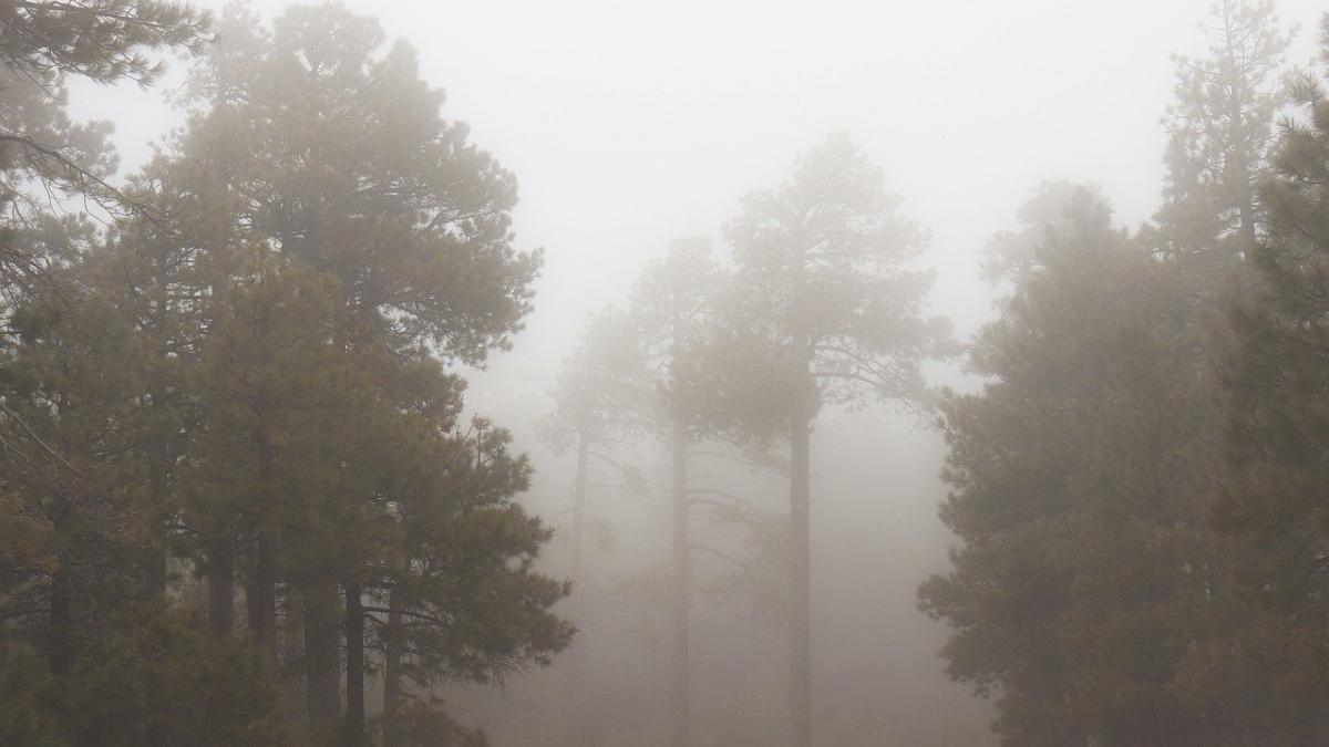 mai multe persoane ratacite intr o zona impadurita din gorj cautarile salvamontistilor ingreunate
