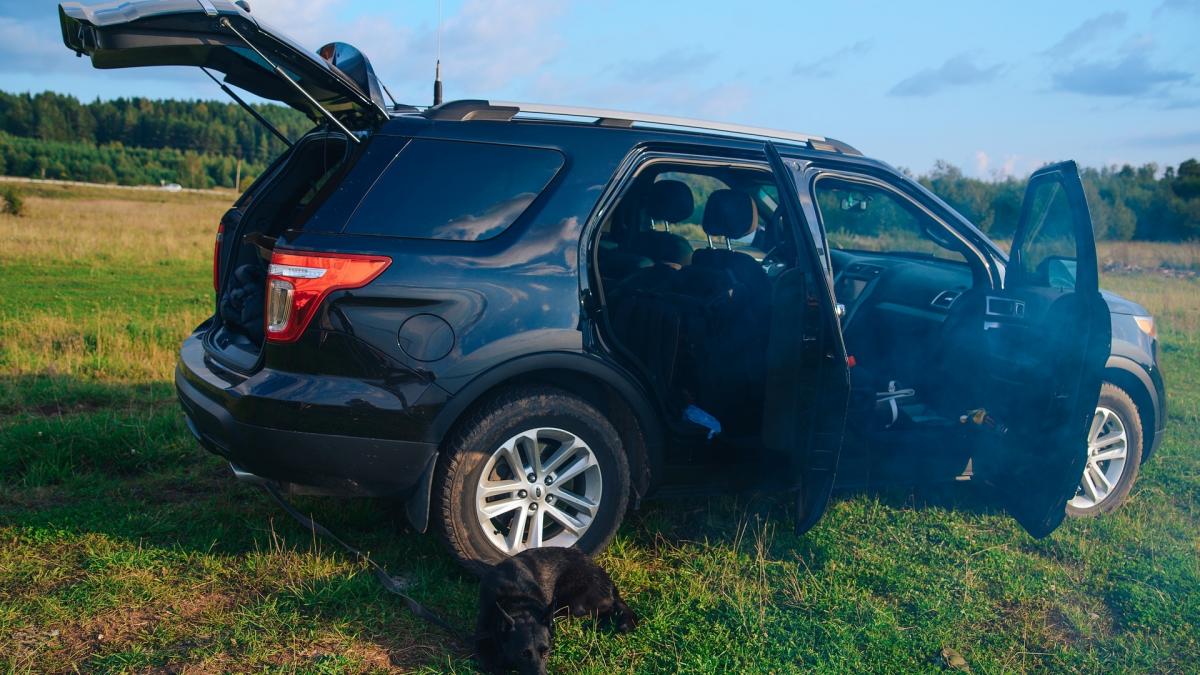 cum a fost prins un hot roman intors din marea britanie detaliul care l a dat de gol