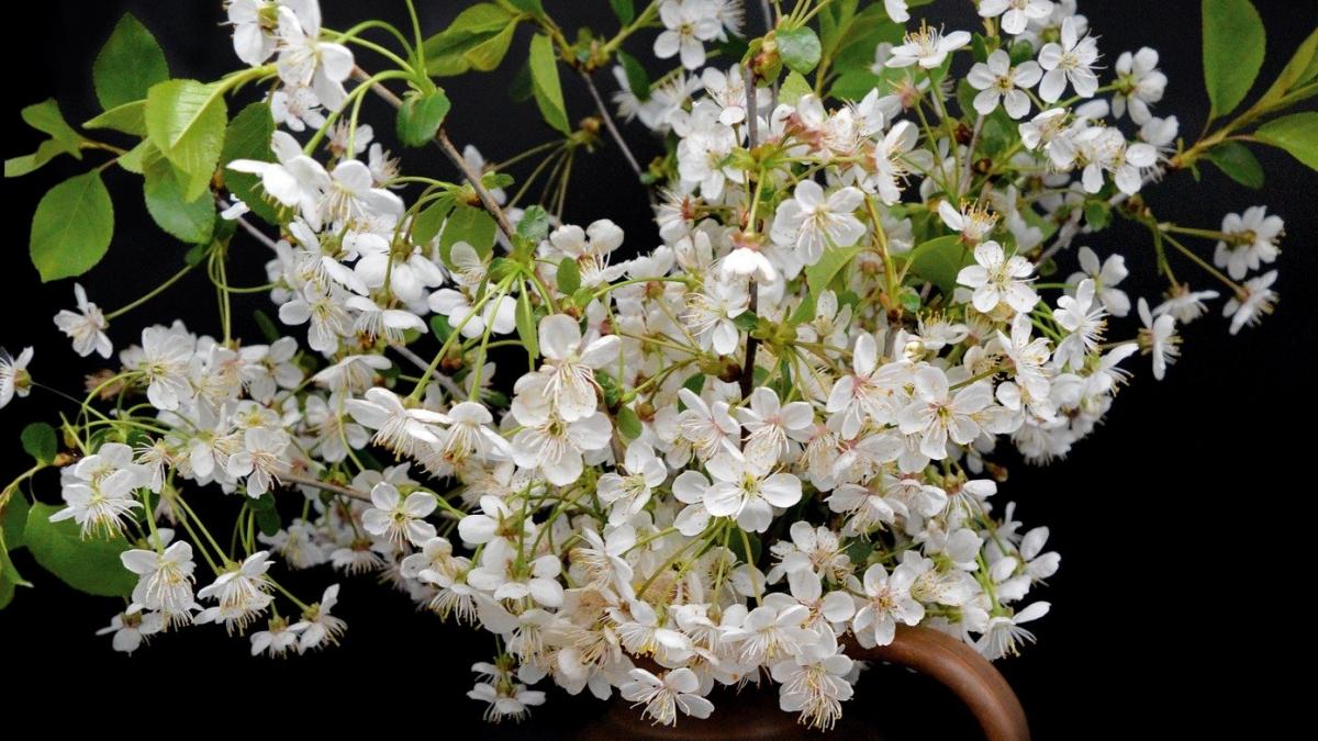 urari de sfintii constantin si elena