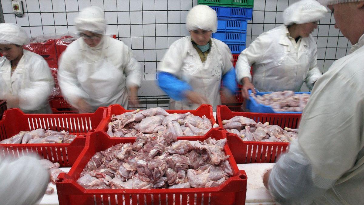 abatorul din germania 47 de romani infectati cu coronavirus 57 in carantina