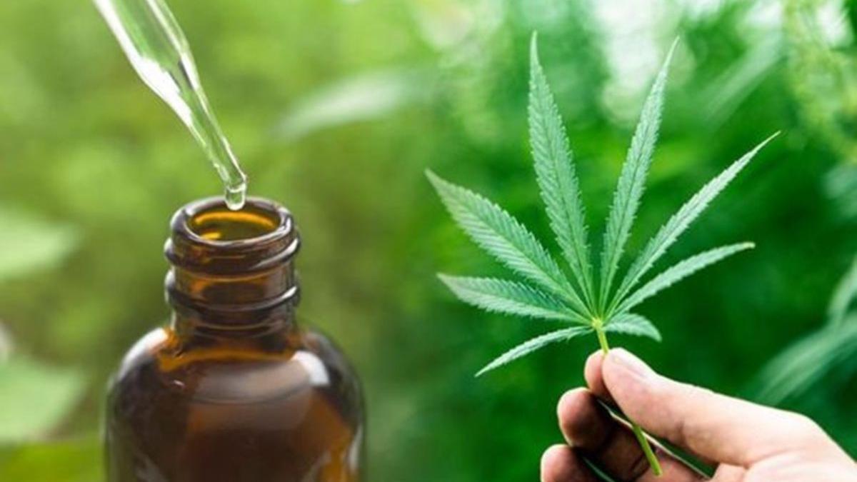 canabisul ar putea ajuta la prevenirea si tratarea noului coronavirus descoperirea facuta dupa cel