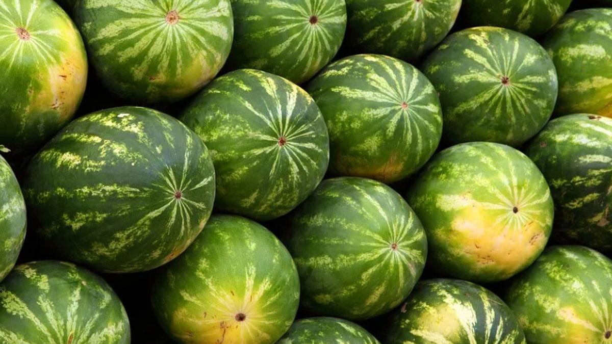 pepeni verzi dabuleni grindina