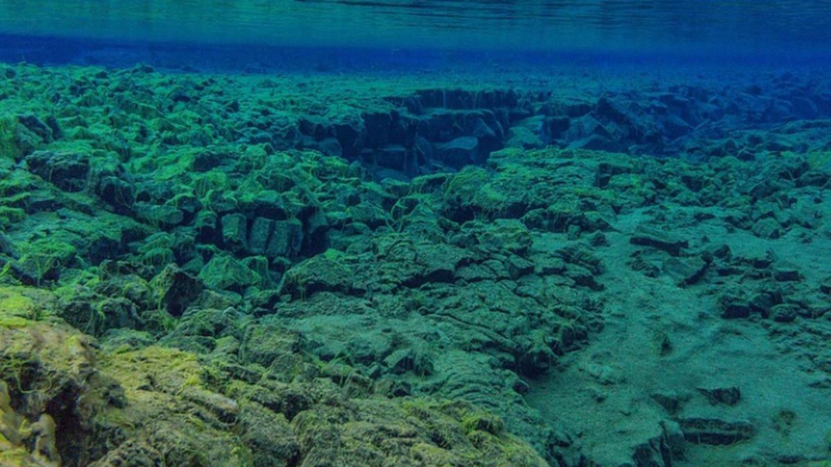 placa tectonica oceanul indian