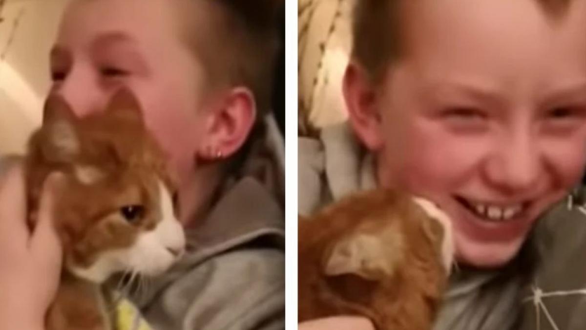 baietelul isi pierduse pisica in urma cu sapte luni si suferea cumplit intr o zi a regasit o iar