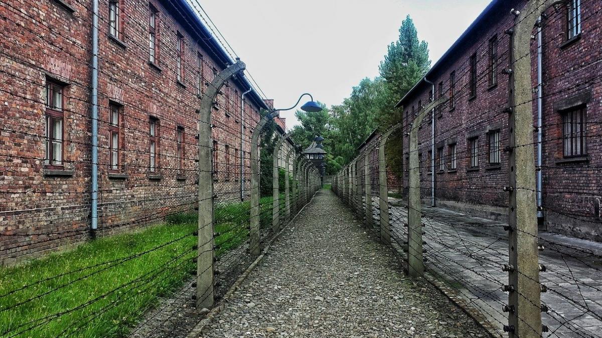 cel mai ingenios plan de evadare din timpul holocaustului