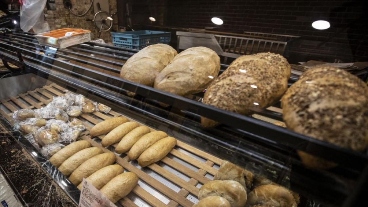 fabrica paine harmopan harghita covid