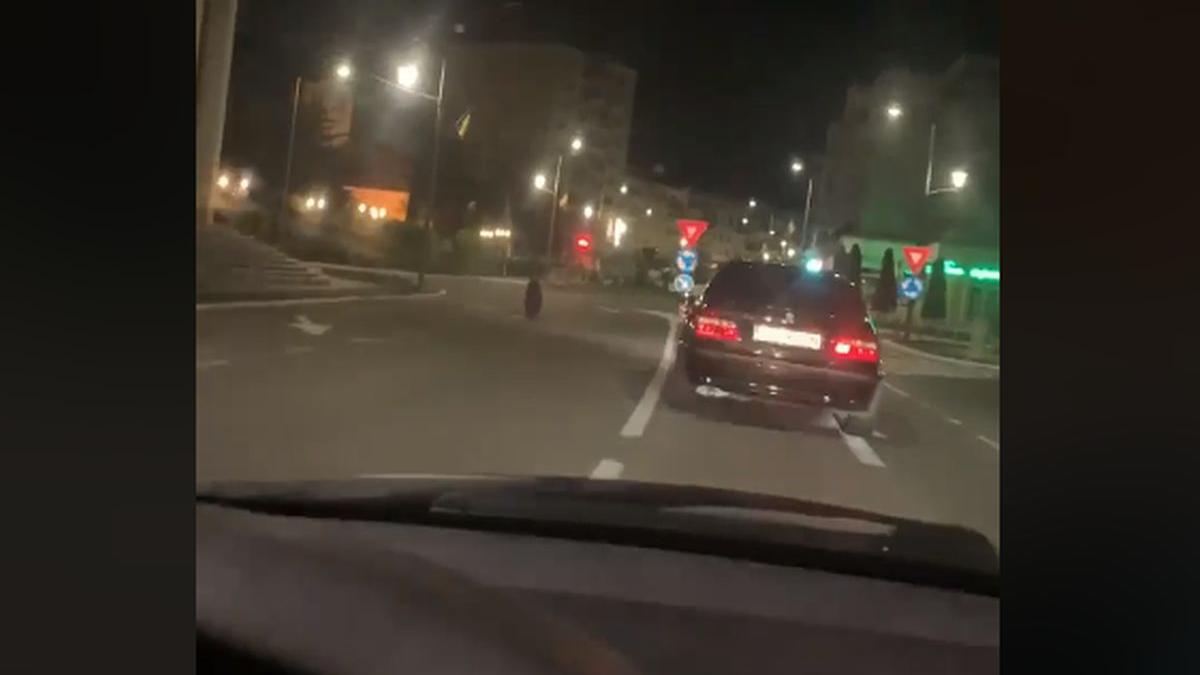 urs filmat strada cluj