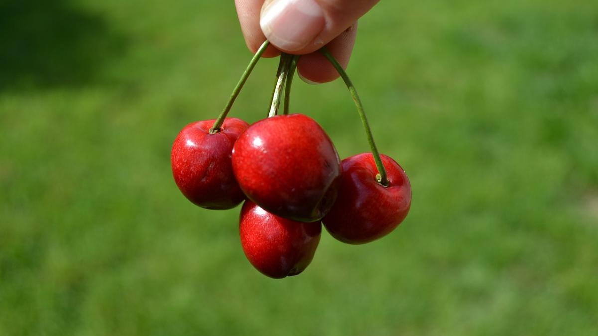 horoscop complet iunie 2020