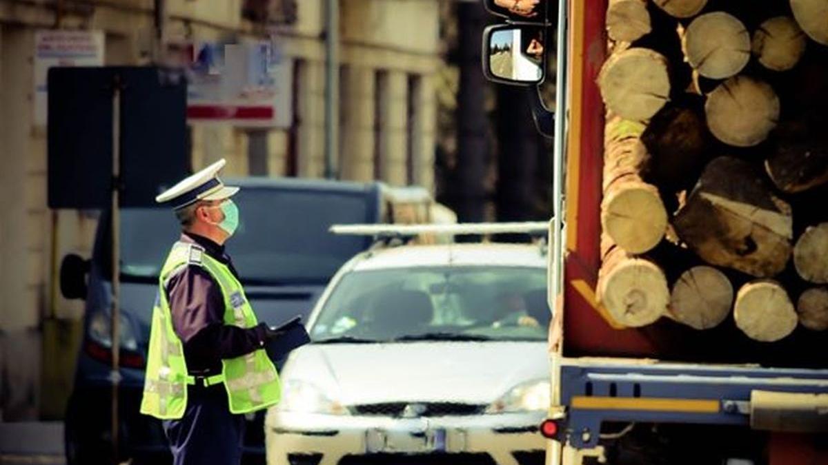 proiect de lege ce prevede inchisoare pentru cei care scot lemnul din tara initiat de psd