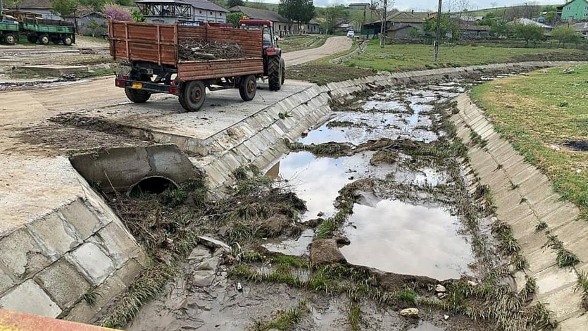 amenda primarie amzacea constanta