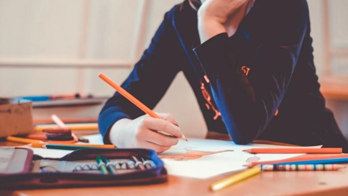 dispute intre principalele partide politice pe tema educatiei sexuale in scoli