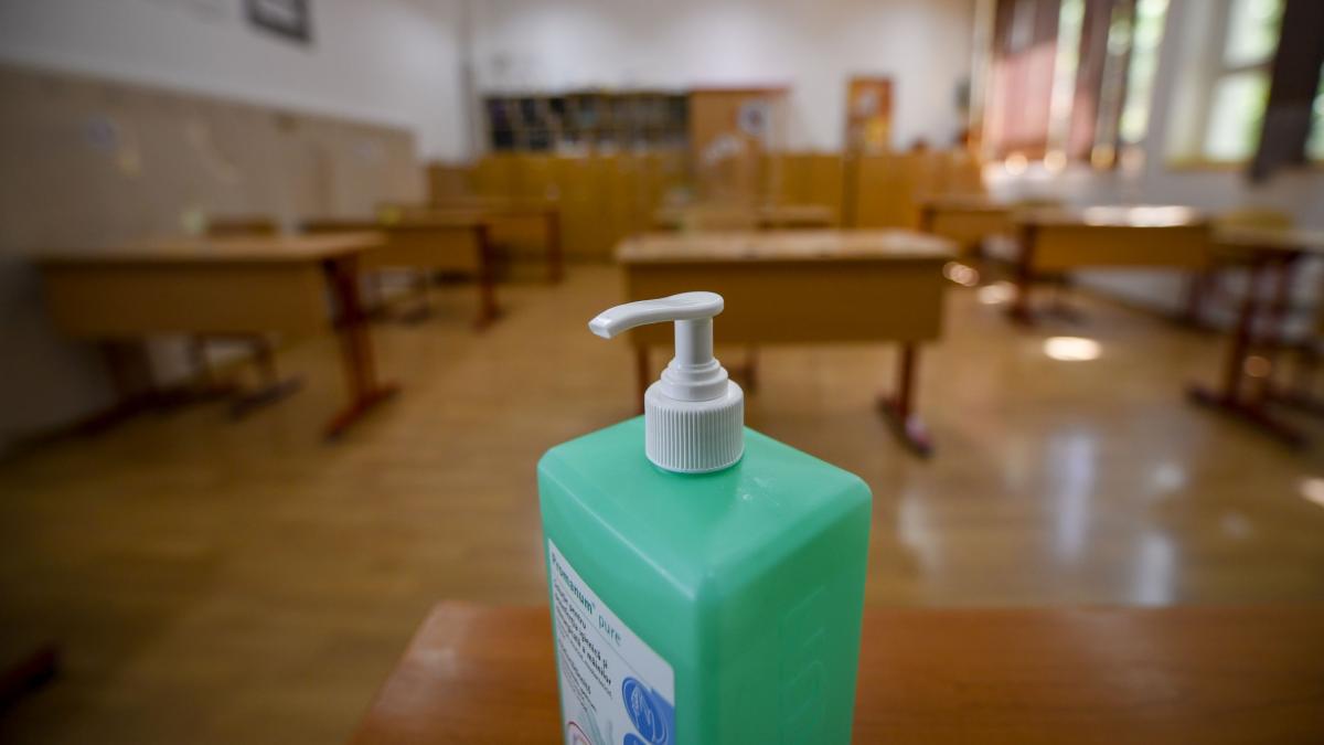 febra bacalaureat ministrul educatiei